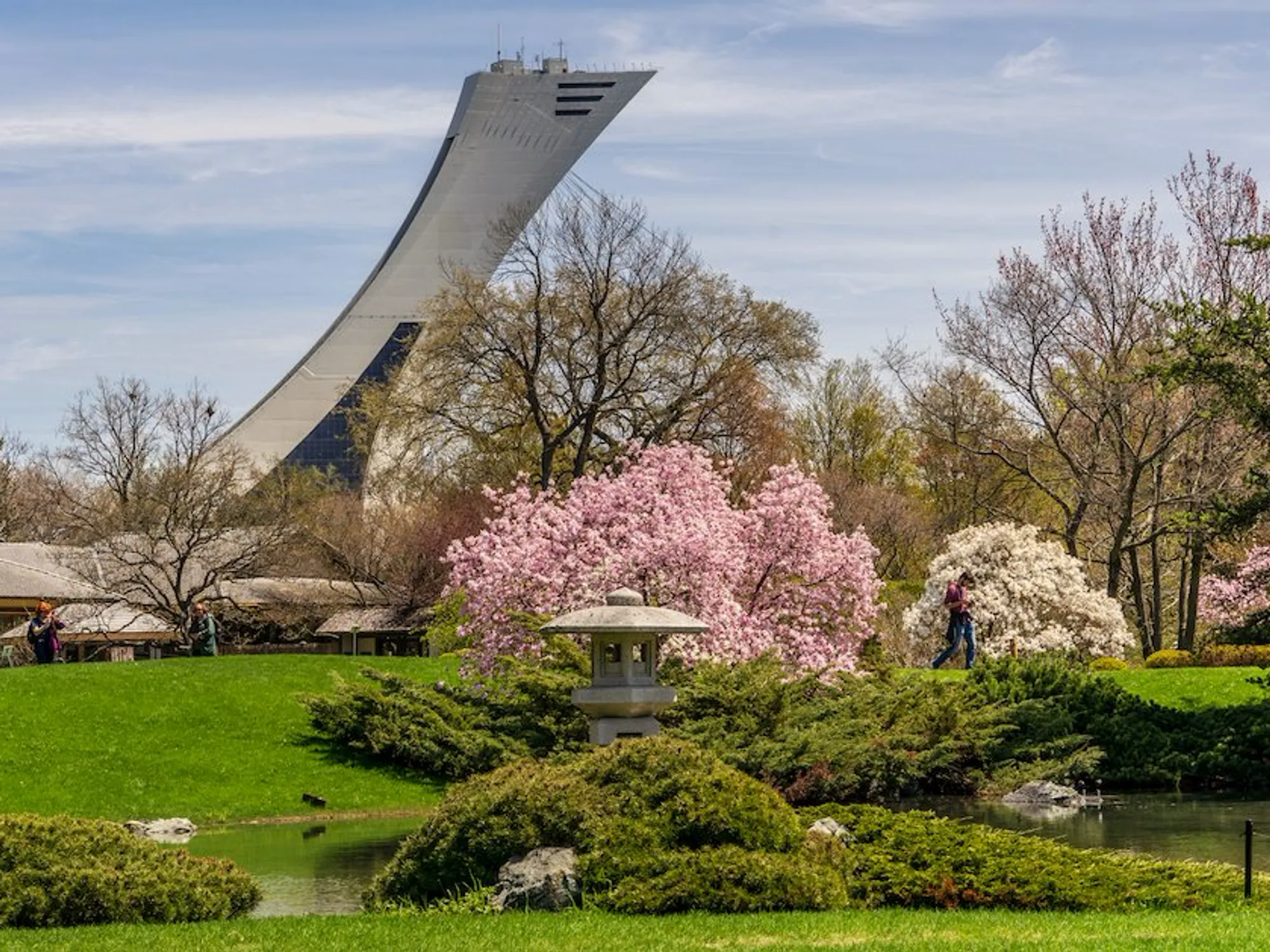 The Montreal Botanical Garden