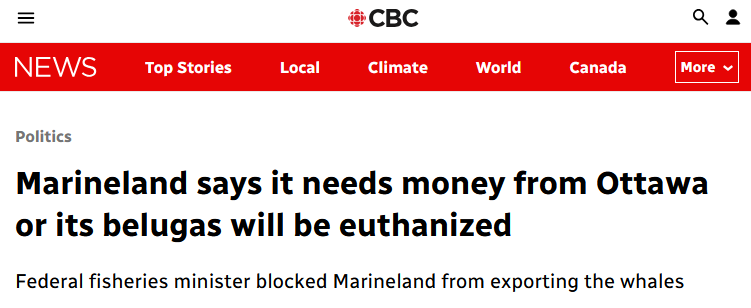 cbc headline